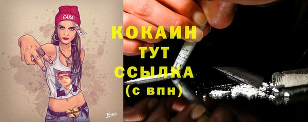 индика Абдулино