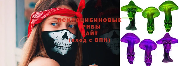 индика Абдулино